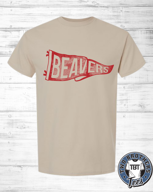 DuBois High School Cheerleading Pennant T-Shirt